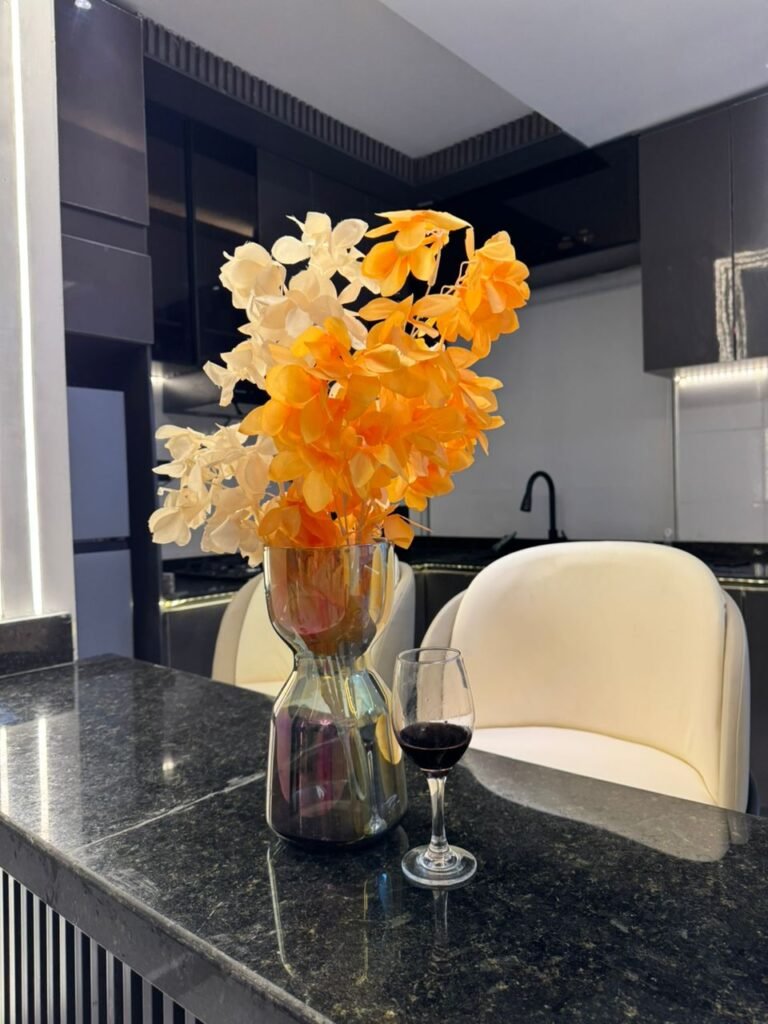 one bedroom shortlet apartment in Lekki Phase 1